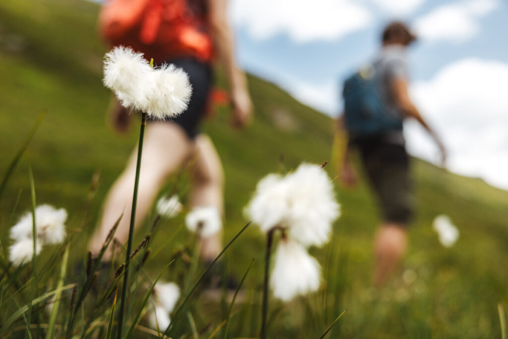 gurgl_kampagne_sommer_roman_huber_Tag 2_118_23(webjpg)
