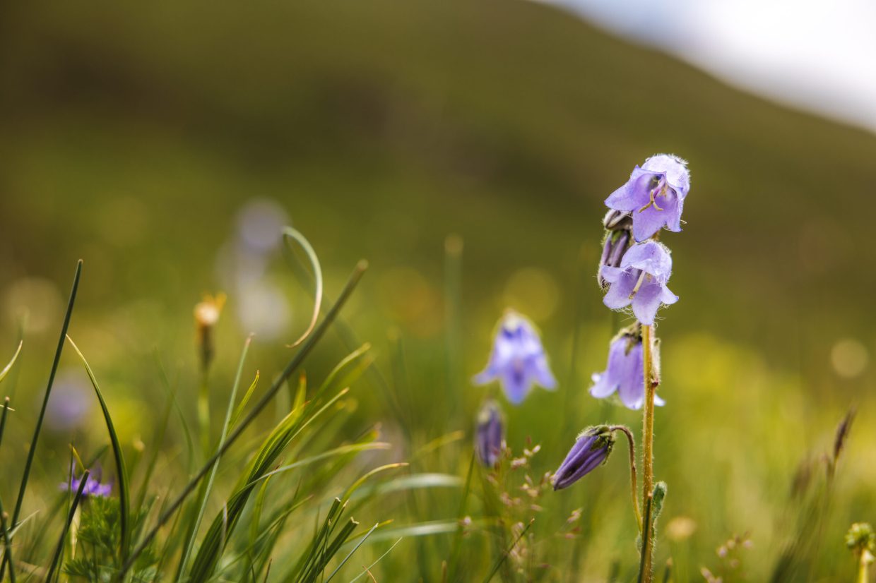 gurgl_kampagne_sommer_roman_huber_Tag 2_120_23